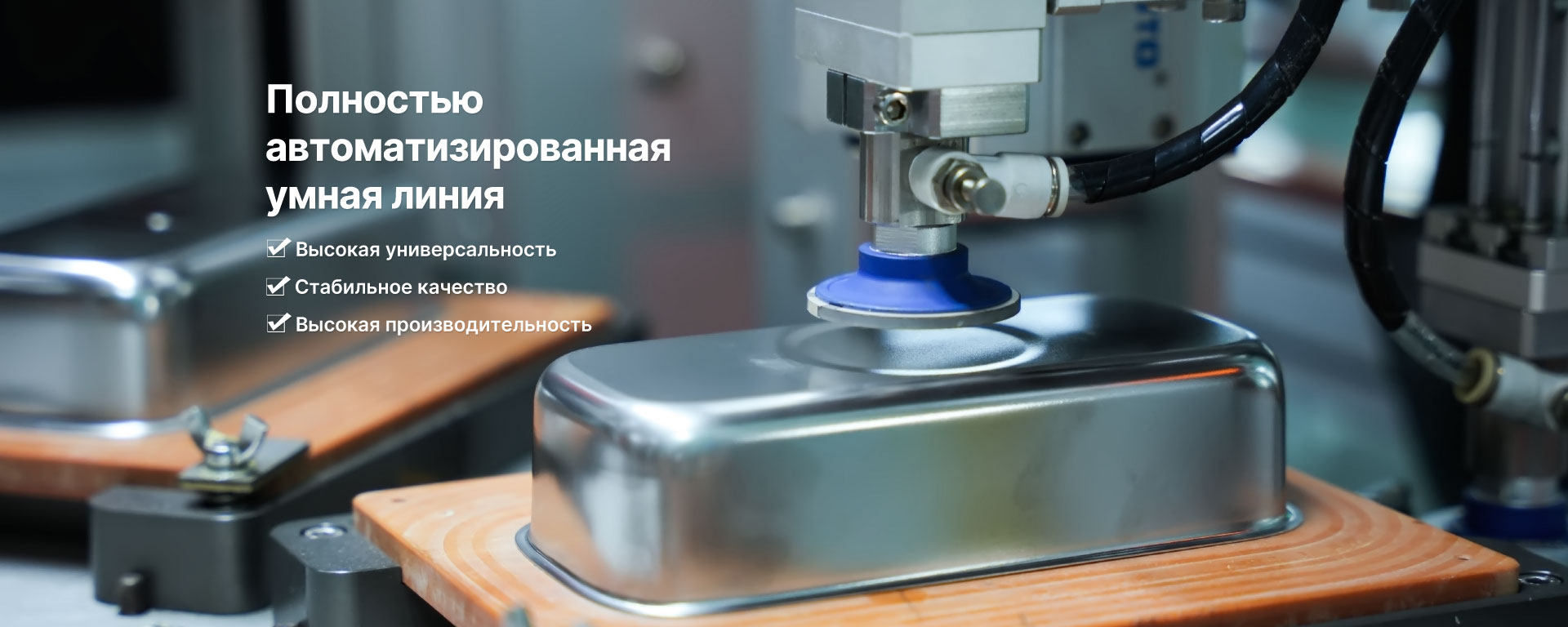 skymen-polnostyu-avtomaticheskaya-liniya-ultrazvukovoy-ochistki